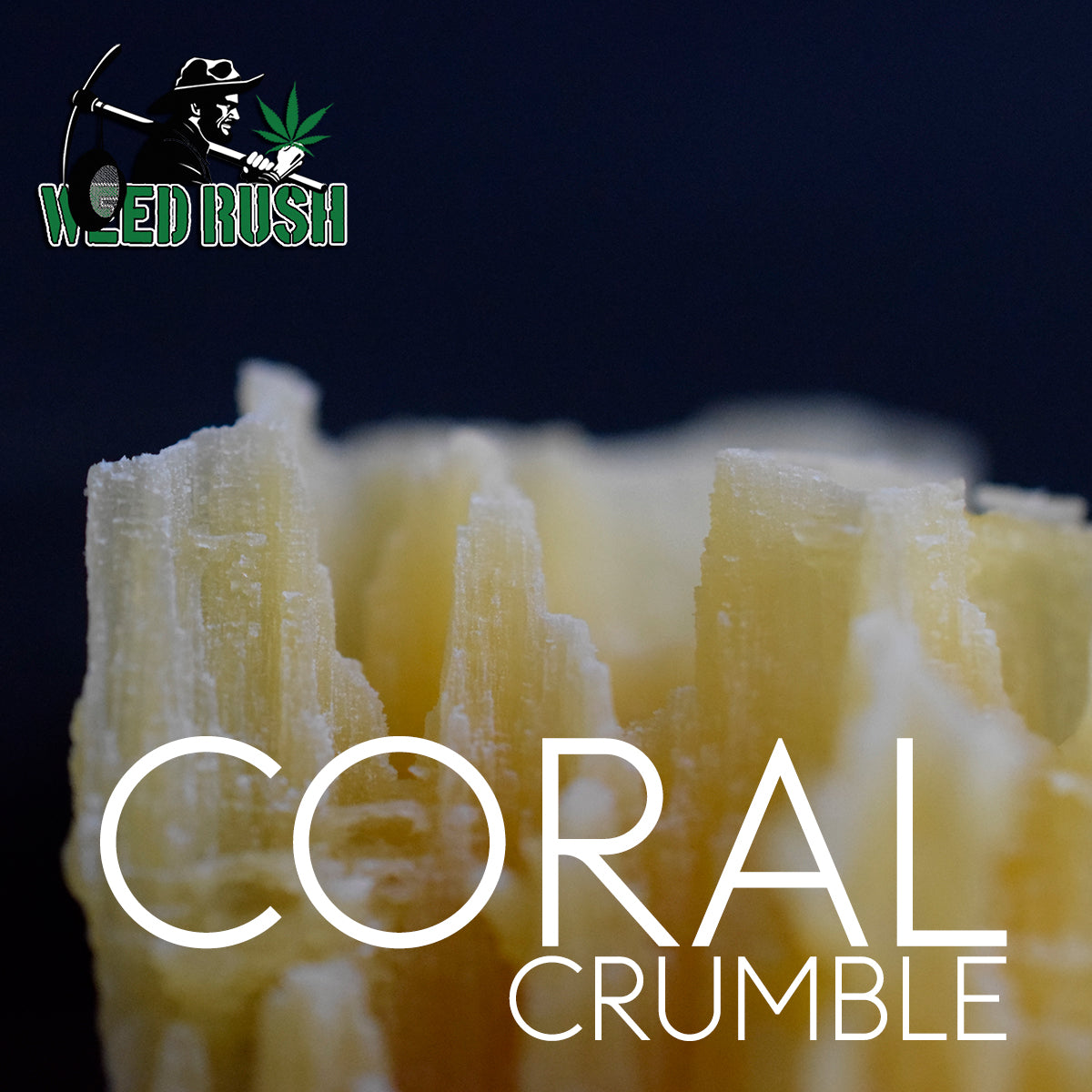 CORAL CRUMBLE