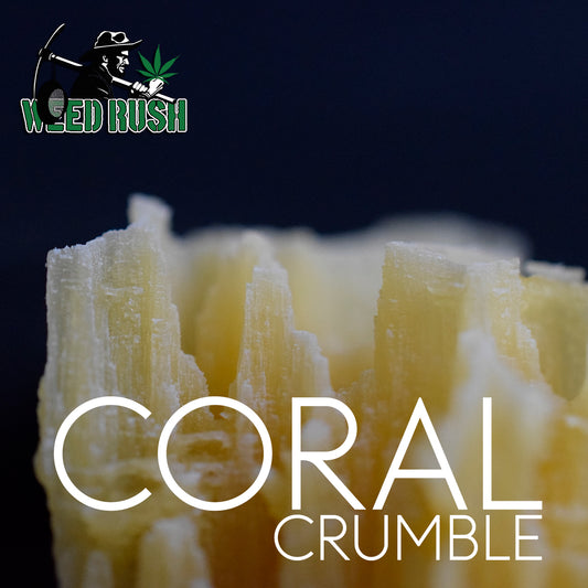 CRUMBLE DE CORAIL